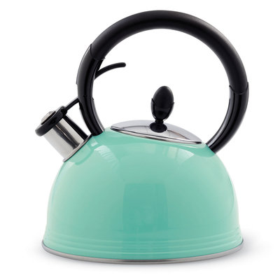 Rowoco Inc 2-Qt. Ring Tea Kettle - Robin Egg Blue