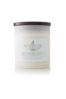 Mvp Group International Inc. Wellness Scented Jar Candle - Soothing Eucalyptus
