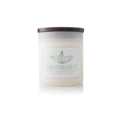 Mvp Group International Inc. Wellness Scented Jar Candle - Soothing Eucalyptus