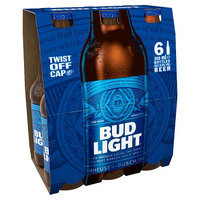 Bud Light 6 x 300ml
