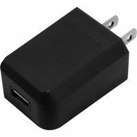 1-Amp Mini USB AC Charger - Black