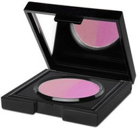 Bronzy Babe Tools Legal Sunburn Blusher