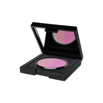 Bronzy Babe Tools Legal Sunburn Blusher