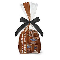 Ghirardelli Milk Chocolate Pumpkin Spice Caramel Squares Gift Bag