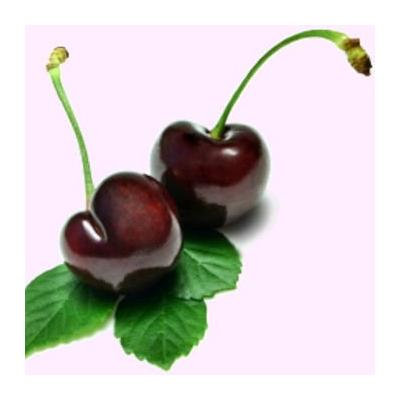 Faeries Finest Flavor Extract, Black Cherry, 8.0 Ounce