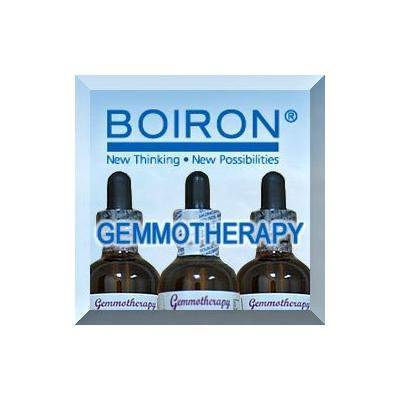 Gemmotherapy - Tamarisk, YS - 2oz