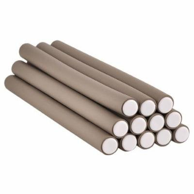 Annie 10'' Long Flexible Twist Rollers - 11/16