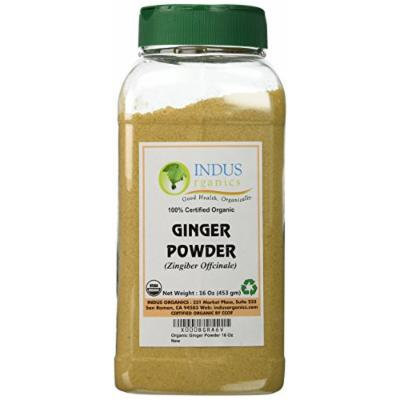 Indus Organic Ginger Powder Spice 1 Lb (1x2 Jars), High Purity & Sulphite Free