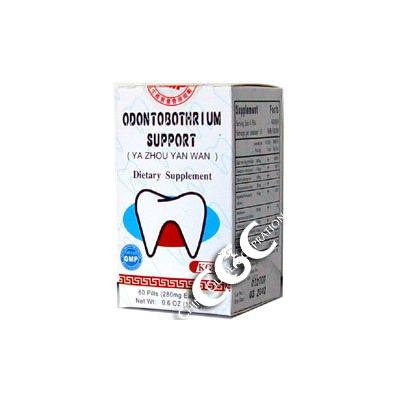Odontobothrium Support Pill (Qiang Li Ya Zhou Yan) 60 Pills X 3