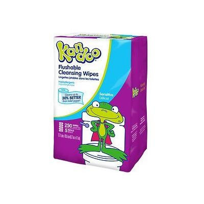 Kandoo Wipes, Unscented 250 Ea