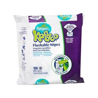Kandoo Flushable Wipes, Unscented 100 Ea