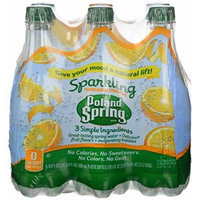 Poland Spring Sparkling Water Orange 6 Pack