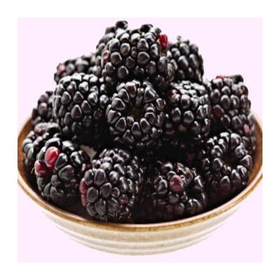 Faeries Finest Flavor Extract, Boysenberry, 8 Ounce