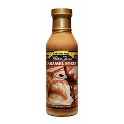 Walden Farms Caramel SYRUP - Sugar Free, Calorie Free, Fat Free, Carb Free, Gluten Free - 6 Bottle
