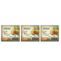 Wild Garden Gluten Free Snack Box To Go! Traditional Hummus With Veggie Chips - Pack of 3