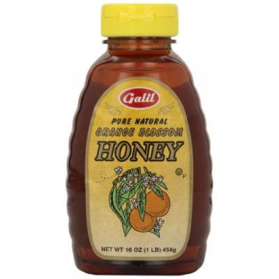 Galil Honey, 16-Ounce Jars (Pack of 3)