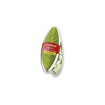 Tea Forte - Minteas Results Matcha Chai - 1 oz.