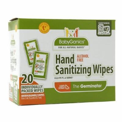 Babyganics Alcohol-Free Hand Sanitizing Wipes, On The Go Wipes, Mandarin 20 ea