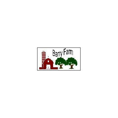 Peppercorns, Black, Whole, 2 oz.