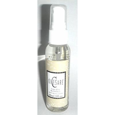 Dicesare Liquifix Blowout Blow Drying Lotion 2oz Travel Size
