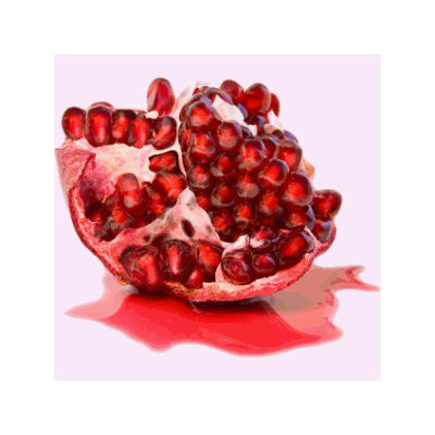 Faeries Finest Flavor Extract, Pomegranate, 2 FL Ounce