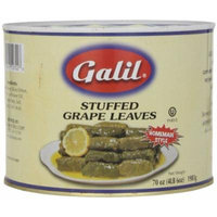 Galil Stuffed Grape Leaves, Large, 70-Ounce Cans (Pack of 2)