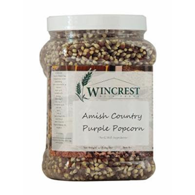 Amish Country Purple Popcorn - 4 Lb Tub (No GMO's)