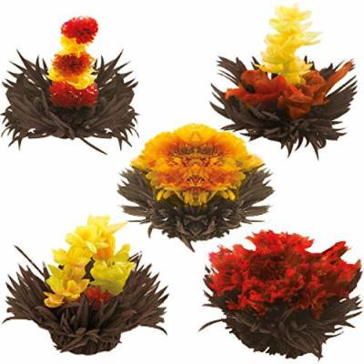 Tea Beyond Tea Gift English Breakfast Flowering Tea 12 Cts Black Tea Blooming Tea Variety Pack