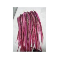 Feather Hair Extensions 6