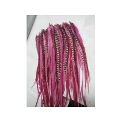 Feather Hair Extensions 6