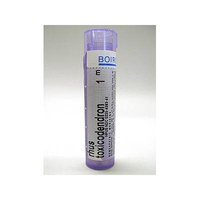 Boiron - Rhus toxicodendron 1M 80 plts