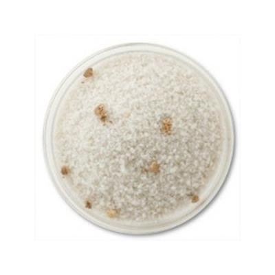 Gourmet White Truffle Sea Salt 5.5 oz