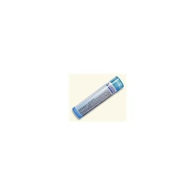 INFLUENZINUM 30X MD