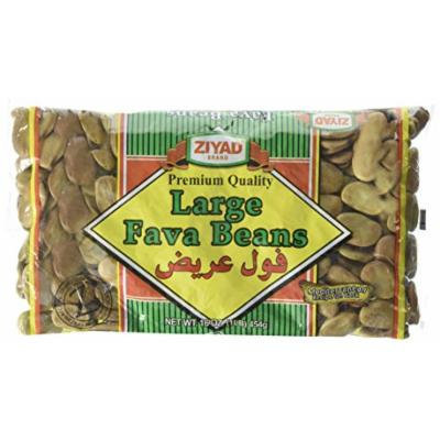 Ziyad Fava Beans, Large, 16 Ounce