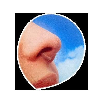 Dual Nasal Filter - NOSK (10pcs) FDA APPROVED