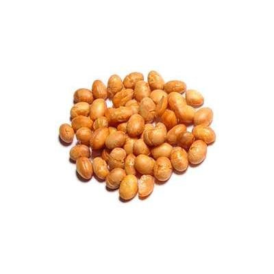 Soy Nuts Roasted Unsalted, 10 Lb