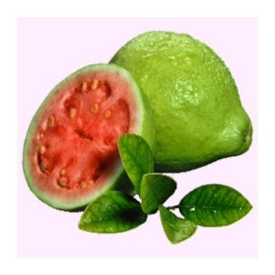 Faeries Finest Flavor Extract, Guava, 8 Ounce