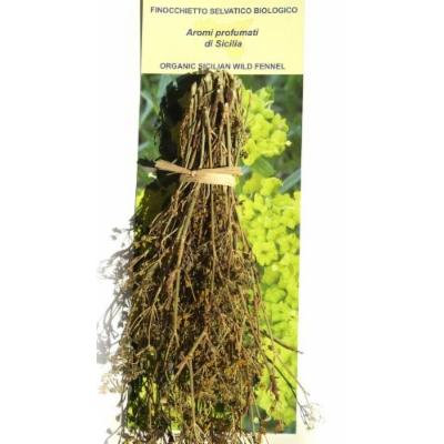 Organic Sicilian Wild Fennel Spice in Bunch 25 Gram
