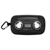 HoMedics Portable Speaker With FM Radio - HOMEDICS INC.