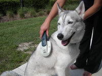 Lentek Koolatron Ionic Waterless Pet Bath Ultra Brush ()