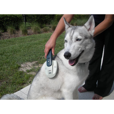 Lentek Koolatron Ionic Waterless Pet Bath Ultra Brush ()