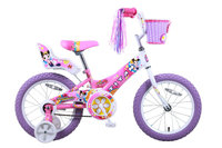 Taiwan New Idea Service Enter. Titan Girl's Flower Princess BMX Bike - Pink (16