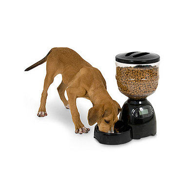 Petmate Le Bistro Programmable Feeder (5 lb Capacity)