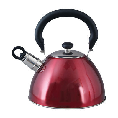 Mr. Coffee 1.8 Qt Stainless Steel Tea Kettle