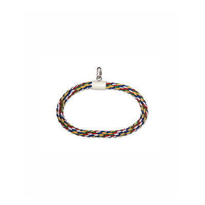 Topdawg Pet Supply Aspen Pet Products Inc. Asp Toy Swing n' Perch Small