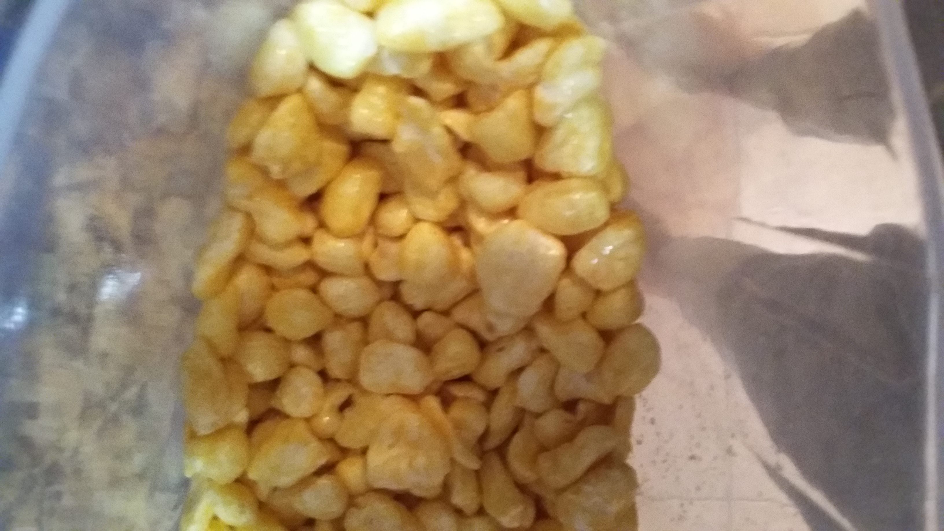 Photo of Kellogg's Corn Pops Cereal uploaded by gabriel v.