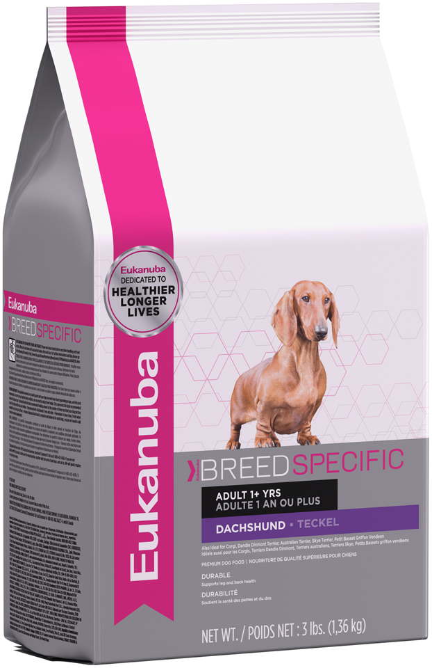 eukanuba dachshund