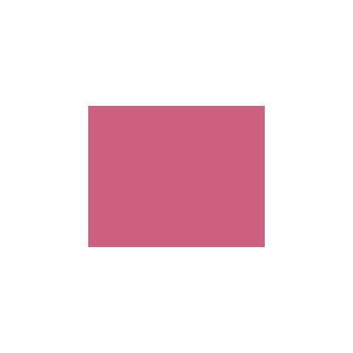 Revlon colorstay Lip liner #11 (309974172196)