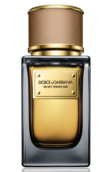 dolce & gabbana velvet bergamot